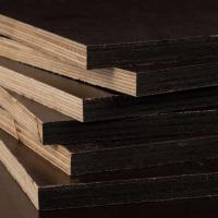 Фанера ФСФ 1/1 1220*2440 9 мм ламинир.