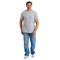 Футболка серая (M)