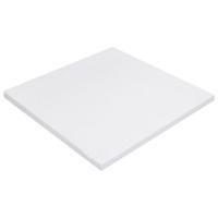 Пенопласт ППС8-Р-А 1000*1000*20 (30 шт. в уп.)