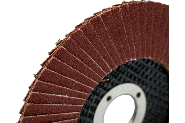 Круг лепестковый 125*22мм P100 плоск. GEPARD